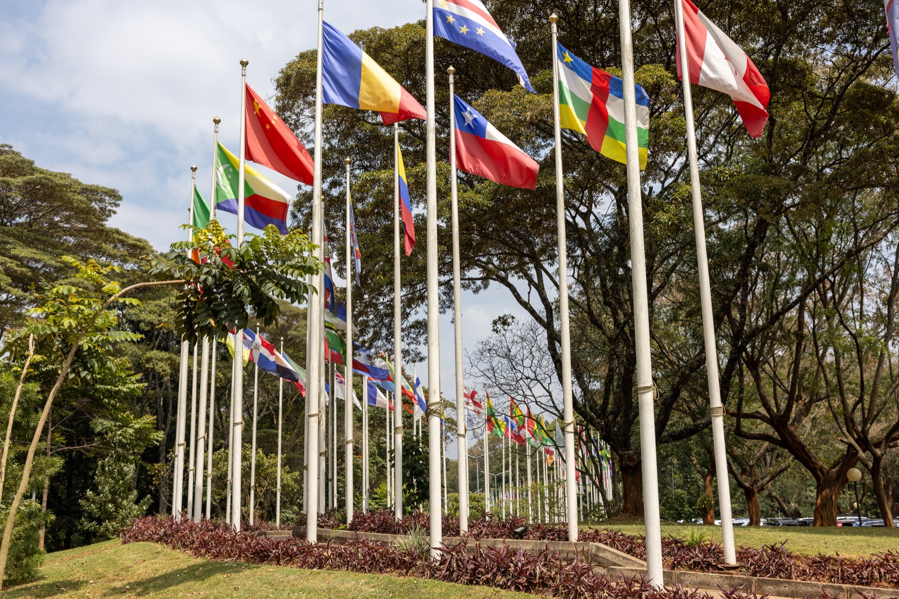United Nations 1