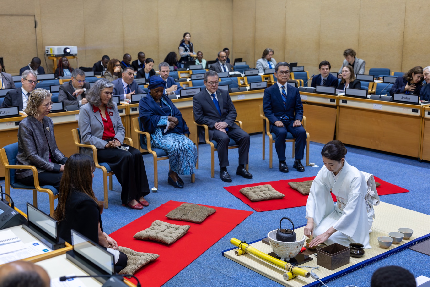 United Nations 7